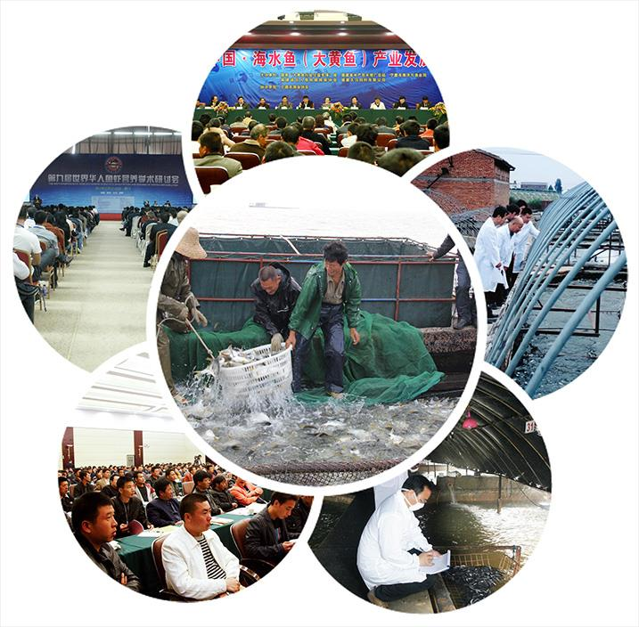 金沙贵宾热线检测中心(中国)有限公司